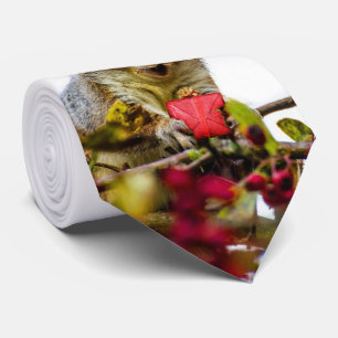 Cravate d'écureuil de Noël