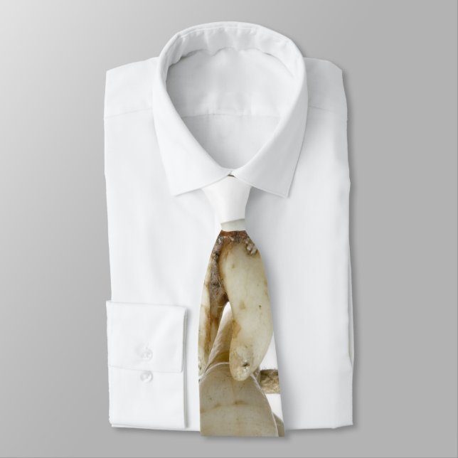 Cravate Dentiste de dents extrait par photographie (Attaché)