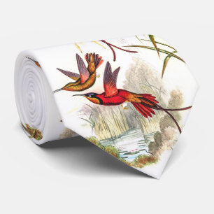 cravate des colibris vintages
