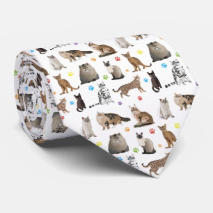 Cravate Divers Motifs de chats