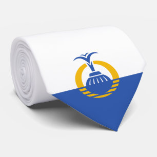 Cravate Drapeau d'Orlando (Floride)
