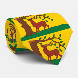Cravate Drapeau du comté historique du Berkshire Col crava