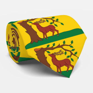 Cravate Drapeau du comté historique du Berkshire Col crava