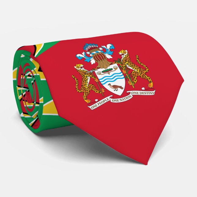 Cravate Drapeau et armoiries du Guyana (Roulé)