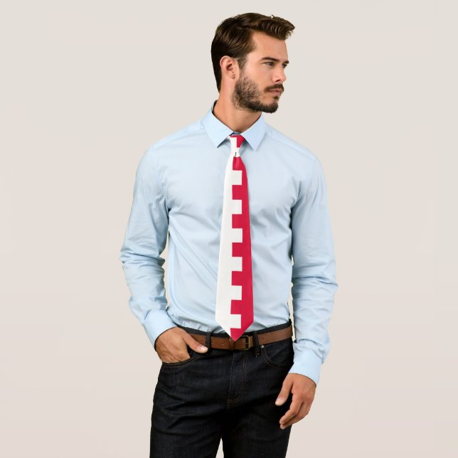 Cravate Drapeau polonais & affaires polonaises, voyages /  (En situation)