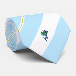 Cravate du drapeau de la ville d'Appleton (Wiscons