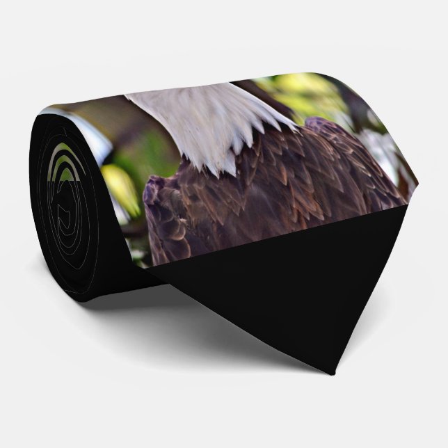 Cravate Eagle chauve (Roulé)
