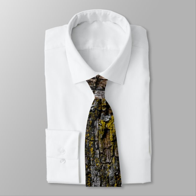 Cravate écorce Brown cool en mousse avec lichen jaune (Attaché)