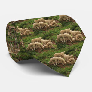 Cravate Élevage de moutons d'agneau sur l'herbe verte Impr