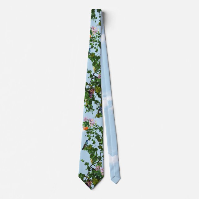 Cravate Escalade de la vigne et miel fleurs (Devant)