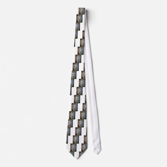 Cravate Étoile d'argent infini (Devant)
