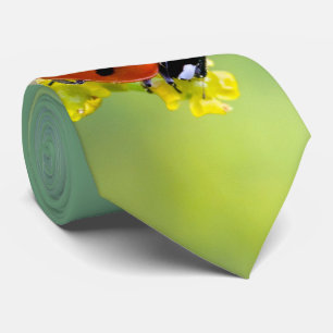 Cravate femme au sommet