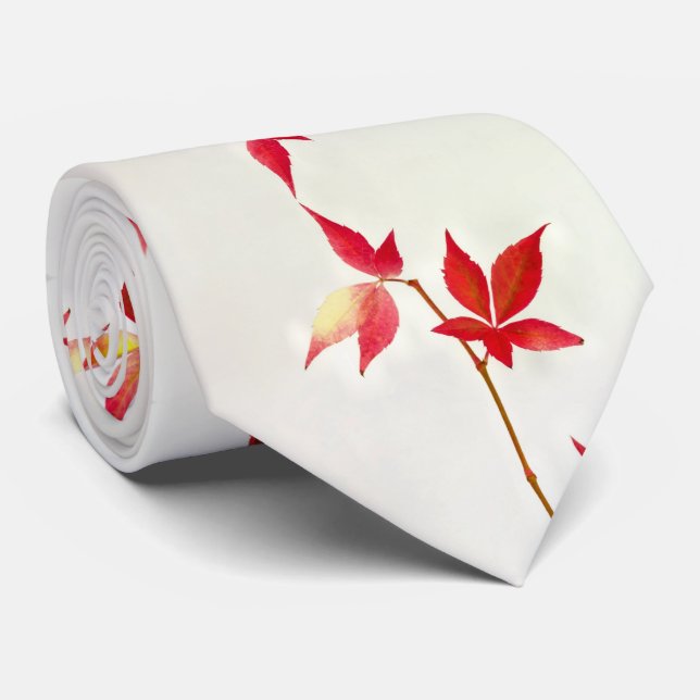 Cravate feuille automne (Roulé)