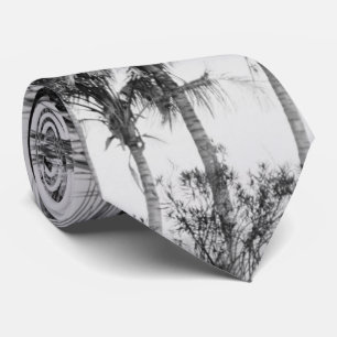 Cravate Floride Royal Palm Trees noir & blanc Photographie