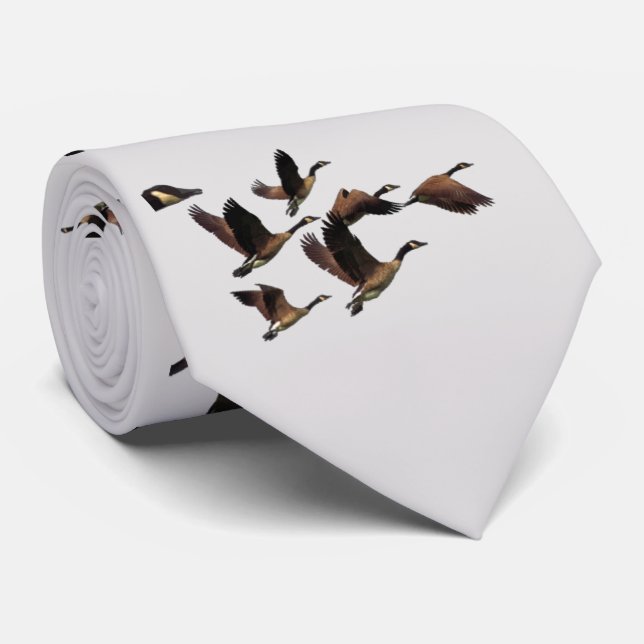 CRAVATE GEESE (Roulé)