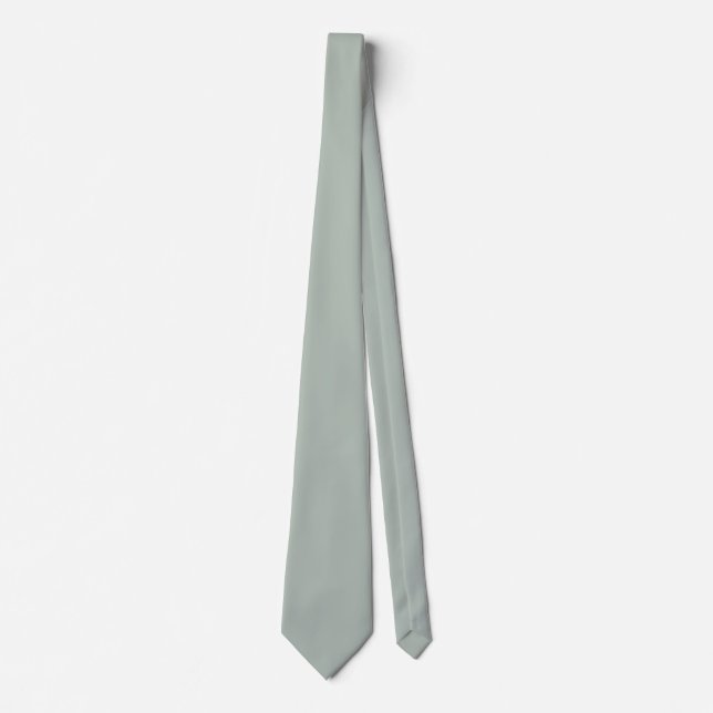 Cravate gris cendré (couleur solide) (Devant)