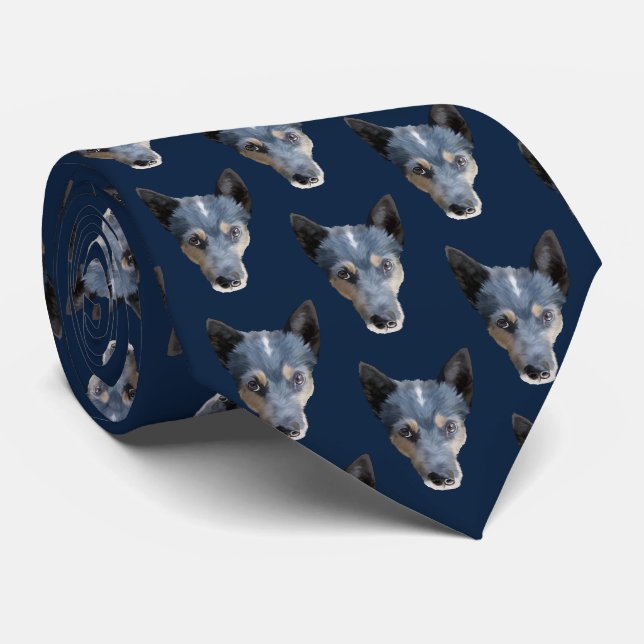 Cravate Heeler bleu/chien australien de bétail (Roulé)