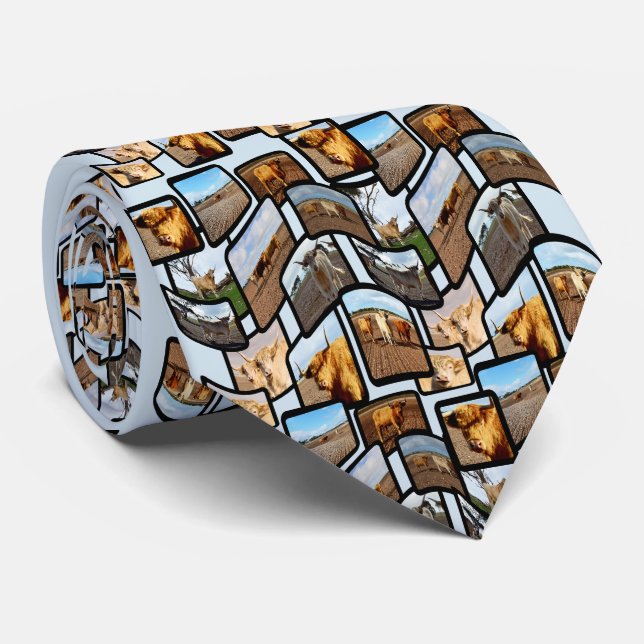 Cravate Highland Cows Photo Collage Montage, (Roulé)