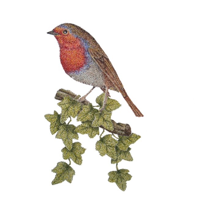 Cravate Illustration feuille du robin et du lierre de Noël (Créateur téléchargé)