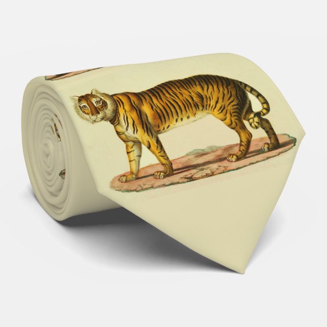 Cravate Impression tigre 1824 (Roulé)