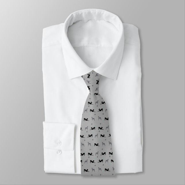 Cravate italienne de chemise grise avec des vêteme (Attaché)