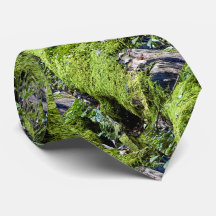 Cravate / journal de mossy