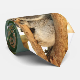 Cravate Koala-ours -3,