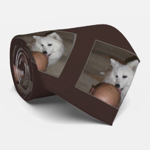 Cravate La cravate, chauve est belle, des répétitions de