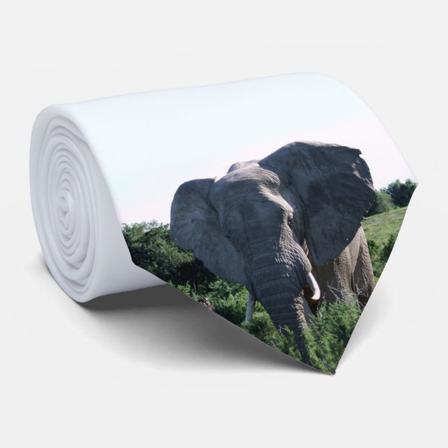 Cravate La photographie africaine de la faune Eléphant Big (Roulé)