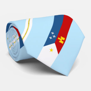 Cravate Lafayette (Louisiana) city flag Neck Tie