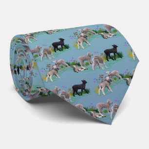 Cravate Lamb Meadow Tie (Sky Blue Mix)