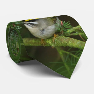 Cravate Le petit petit Kinglet mignon provoque un remue-mé