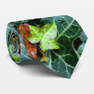 Cravate Lierre et pierre de champ