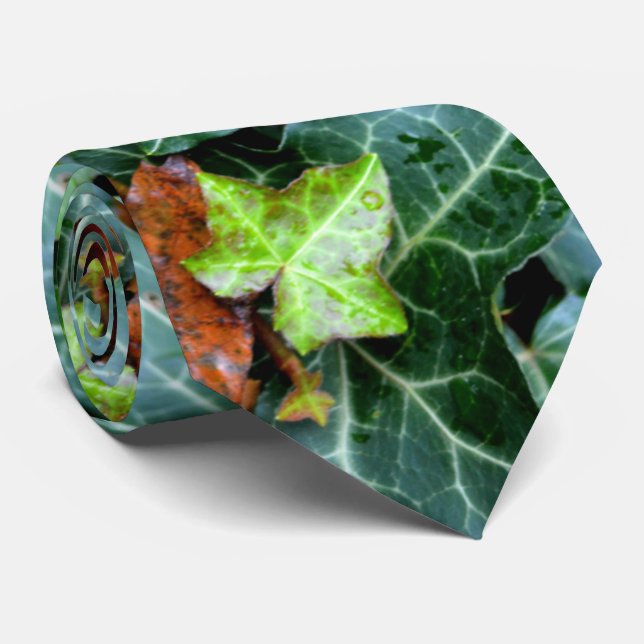 Cravate Lierre et pierre de champ (Roulé)