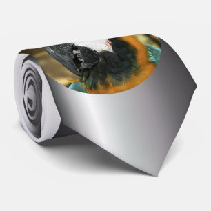 Cravate Macao bleu et jaune d'Amazonie