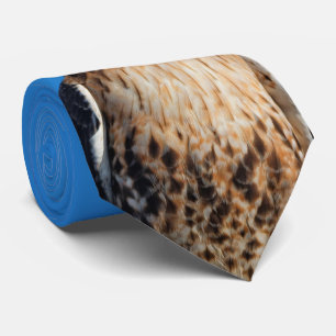 Cravate Magnifique Buse à queue rouge au soleil