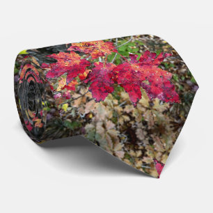 Cravate / motif feuille automne