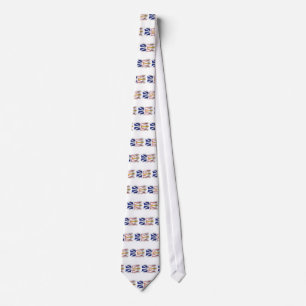 Cravate Newfoundland And Labrador Flag Tie