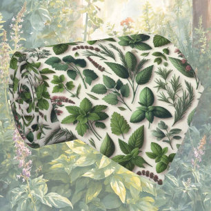 Cravate Nœud papillon Cuisine Foodie   Herbes fraîches du 