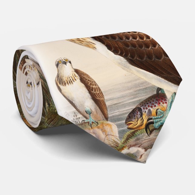 Cravate Oiseaux de John Gould de faucon de mer de (Roulé)