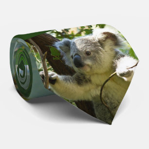 Cravate Ours de Koala -2,