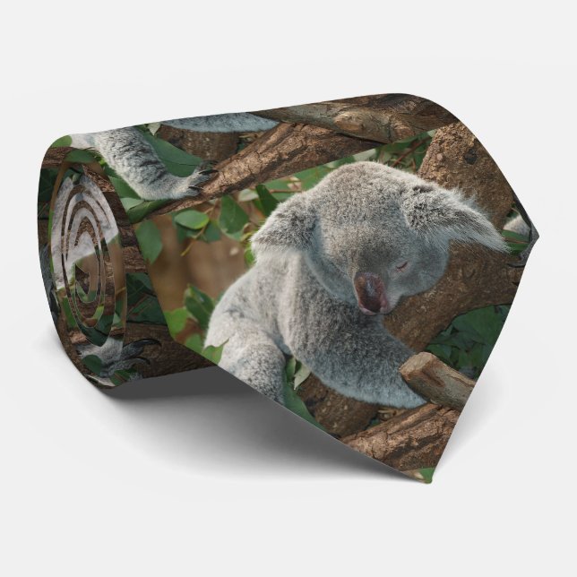 Cravate Ours de koala de sommeil (Roulé)