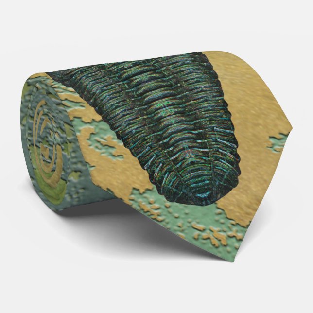 Cravate "Paleo-chic" Calymene Niagarensis Trilobite (Roulé)