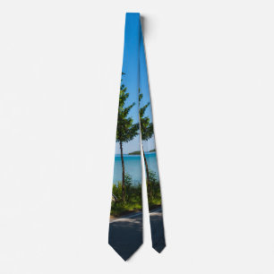 Cravate Paradis de Lake Shore Drive Neck Tie
