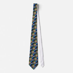 Cravate perroquet de blauaras