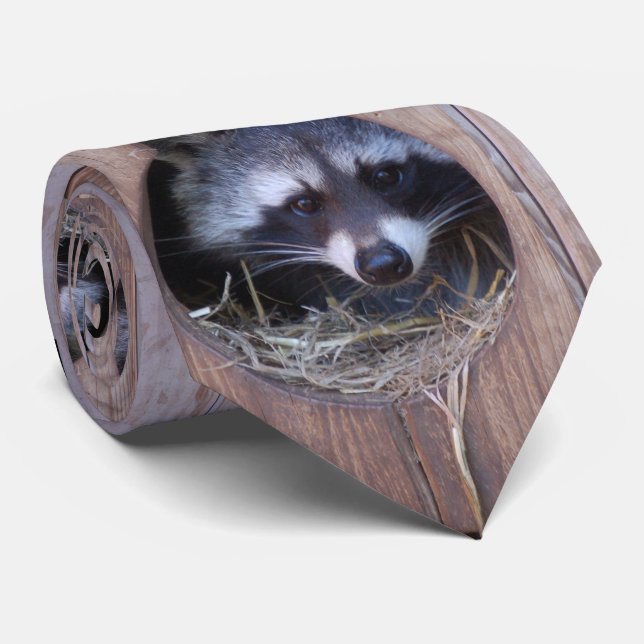 Cravate Photo : Jean-Louis Glineur (Roulé)