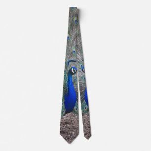 CRAVATE PHOTO PEACOCK
