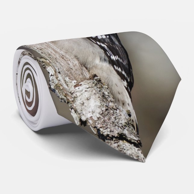 Cravate Pic mou Downy sur l'arbre (Roulé)