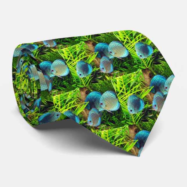 Cravate Poisson sauvage Discus ク タ イ (Roulé)