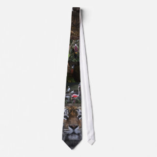 Cravate Posters de animaux